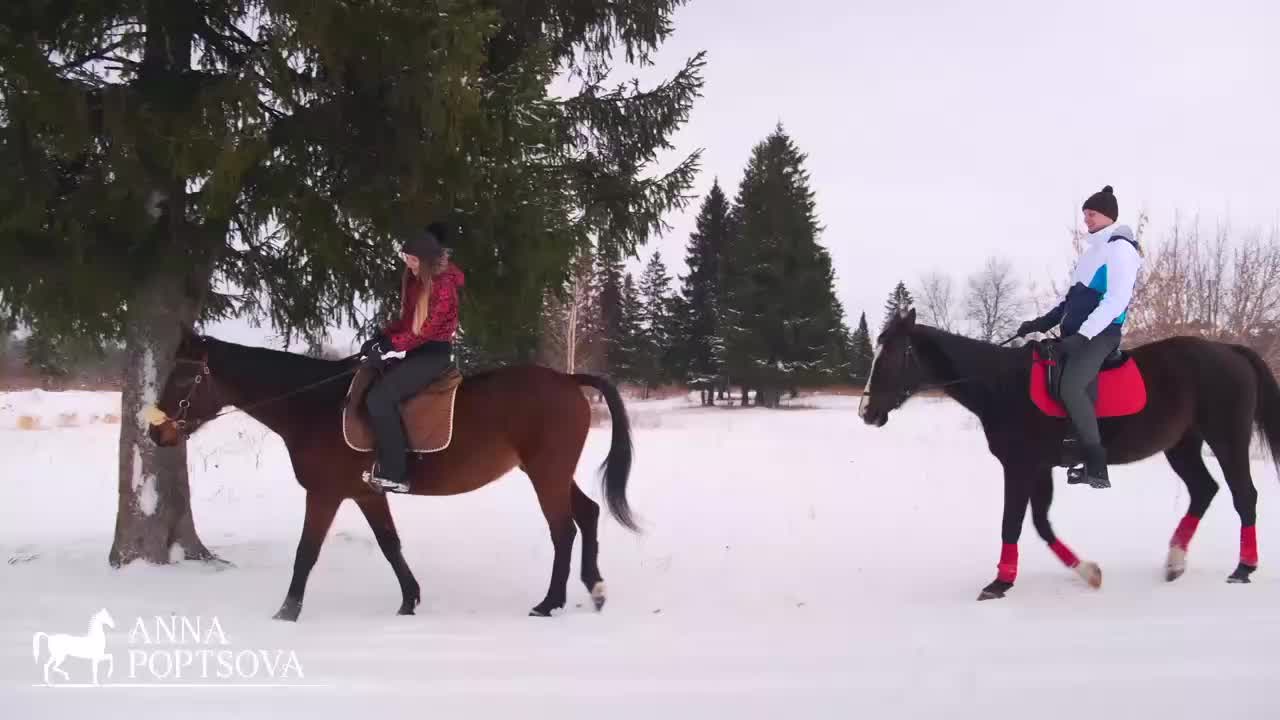 Прогулки на лошадях для двоих. Верховая езда в Пензе